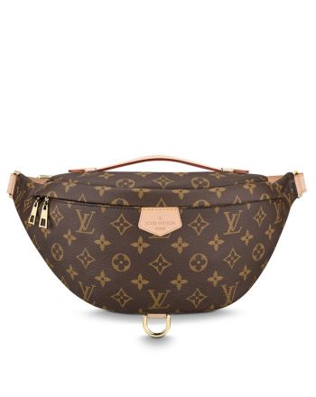 Louis Vuitton Bumbag M43644 Brown